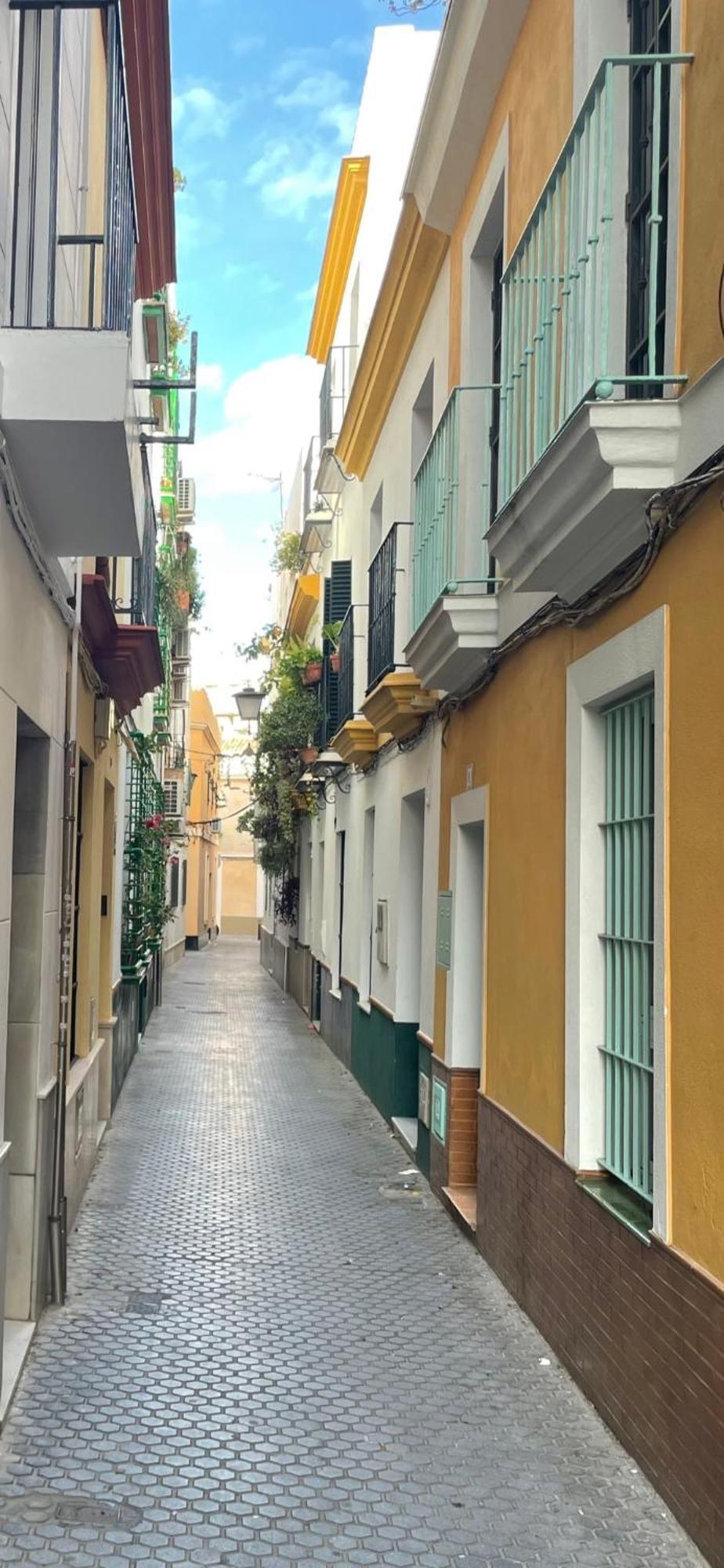 Arco Macarena Apartment