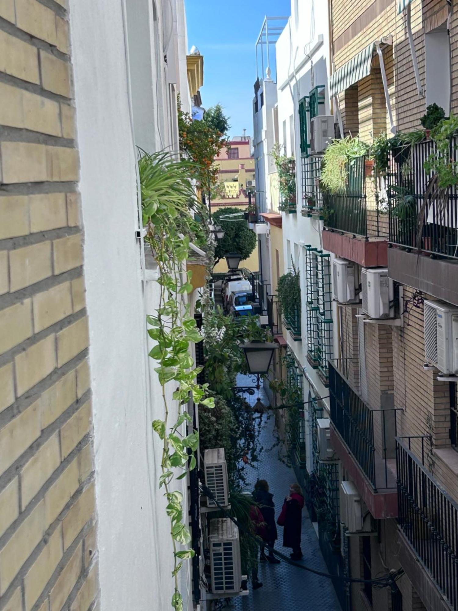 Apartment Arco Macarena Seville