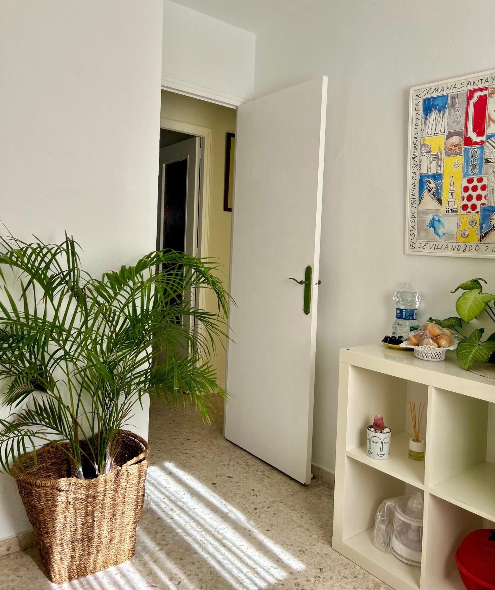 Apartment Arco Macarena *
