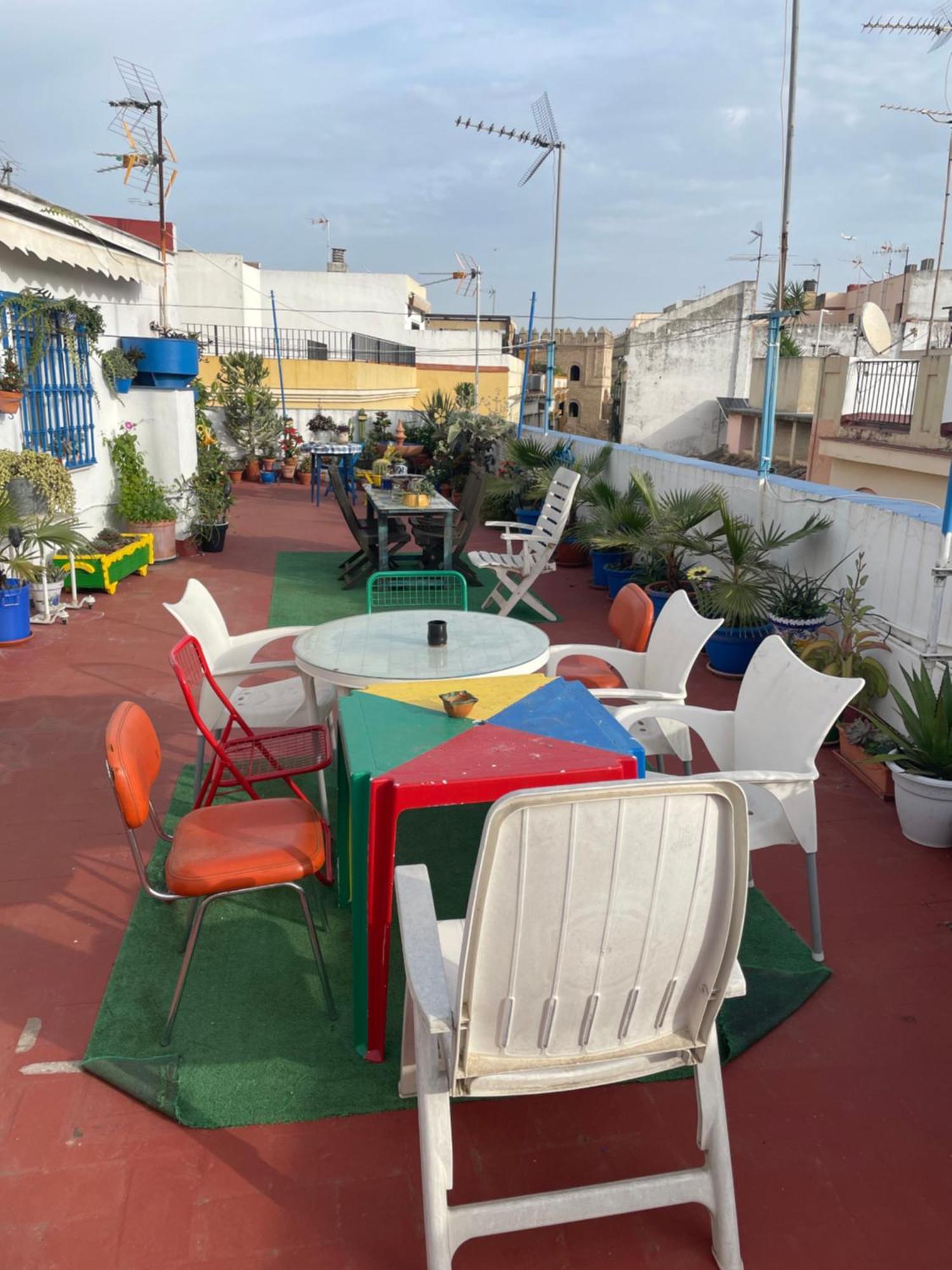 Arco Macarena Apartment *